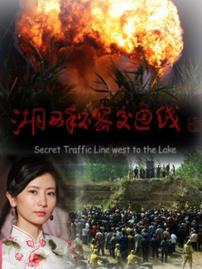 国产精品久久久久久免费播放
